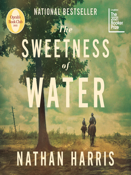 Cover image for The Sweetness of Water
